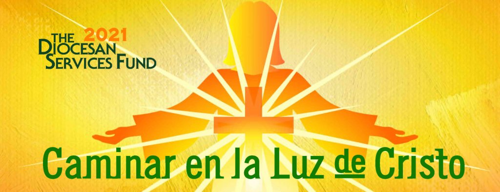 image-862757-DSF_Logo_2020-aab32.jpg